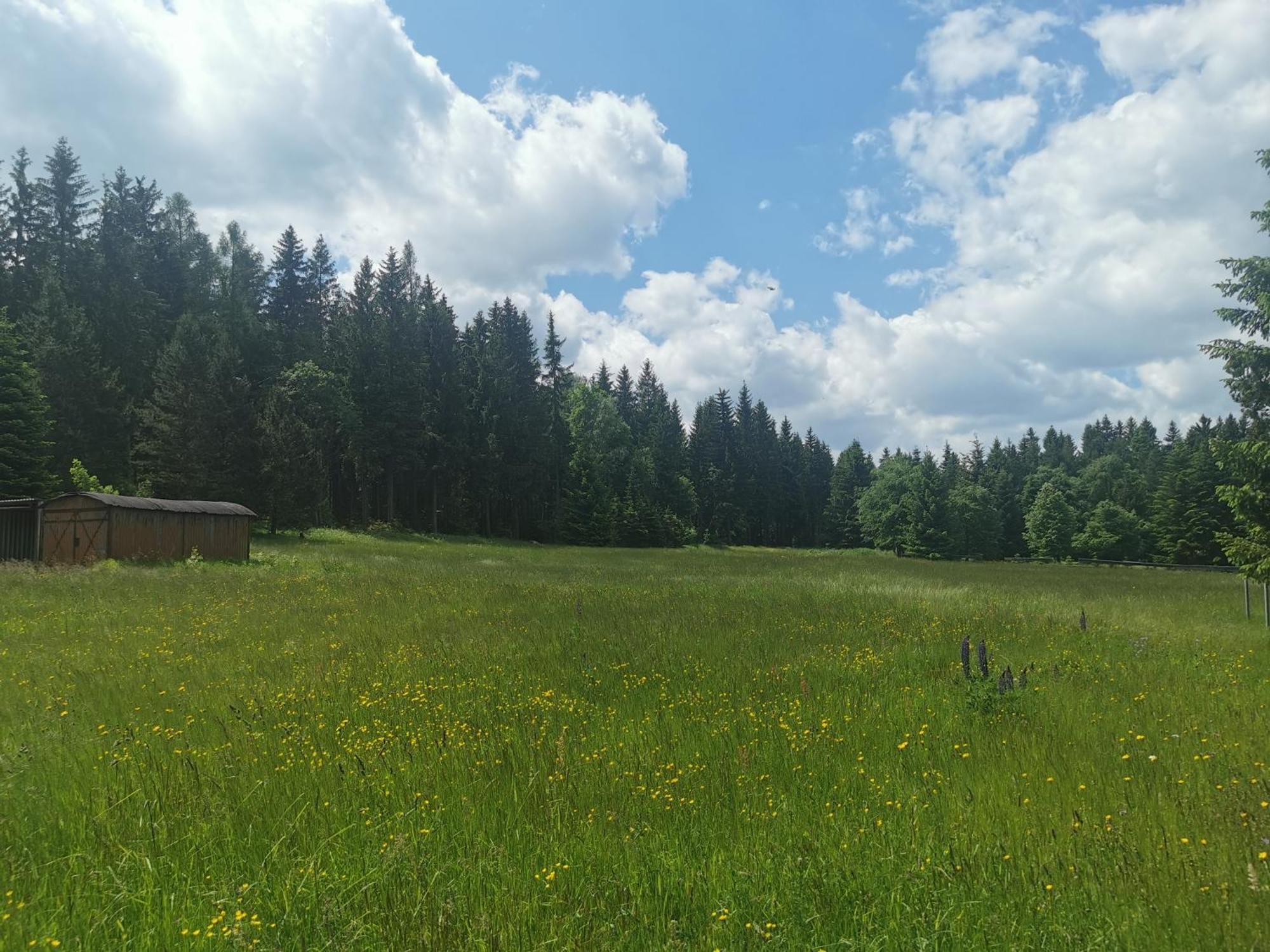 Berghaus Am Felsbruch Oberwiesenthal Ot Hammerunterwiesenthal Exteriér fotografie
